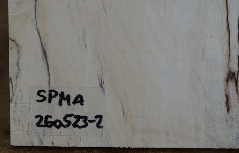 Aufleimer Spalted Maple 260523-2
