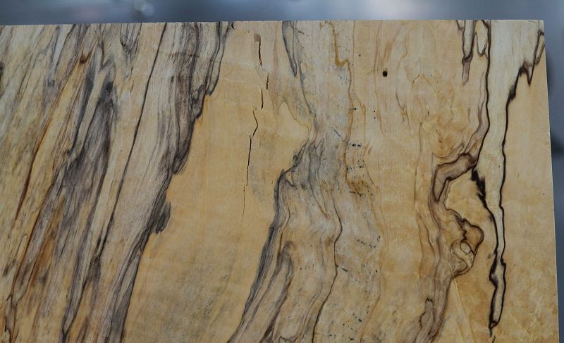 Aufleimer Spalted Maple 260523-2