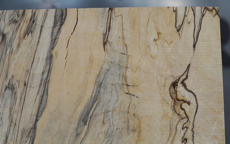 Aufleimer Spalted Maple 260523-3