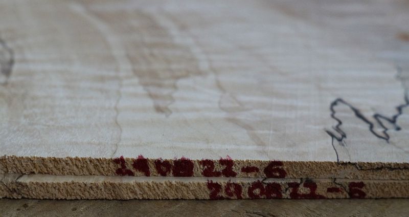 Aufleimer Spalted Maple 290822-6