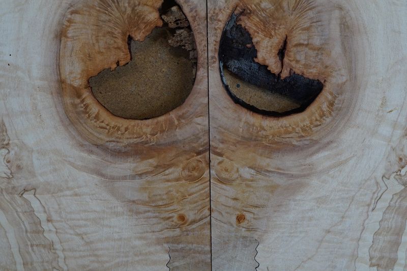 Aufleimer Spalted Maple 290822-6