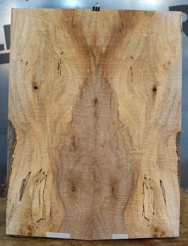 Aufleimer Spalted Maple 300822-4