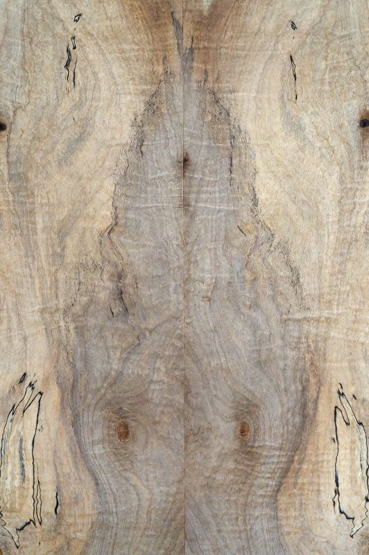Aufleimer Spalted Maple 300822-4