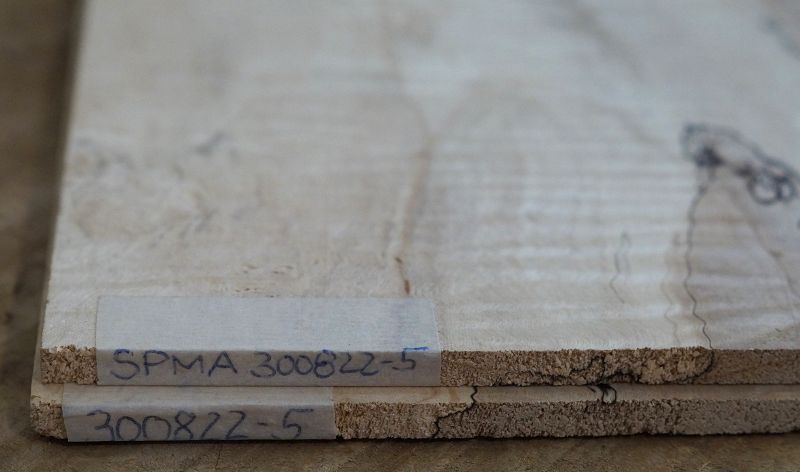 Aufleimer Spalted Maple 300822-5
