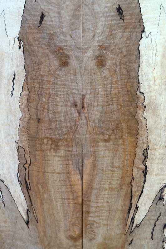 Aufleimer Spalted Maple 300822-5