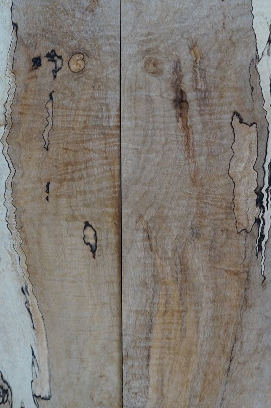 Aufleimer Spalted Maple 300822-5