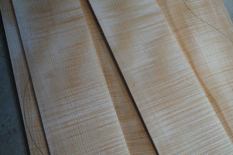 Boden & Zargen Set Riegelahorn 0706