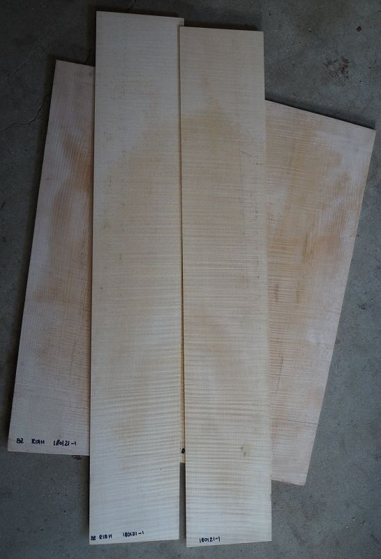 Boden & Zargen Set Riegelahorn 180121-1