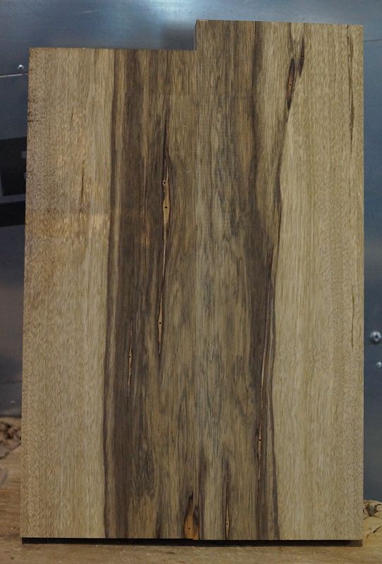 Bodyrohling Black Korina 201123-3