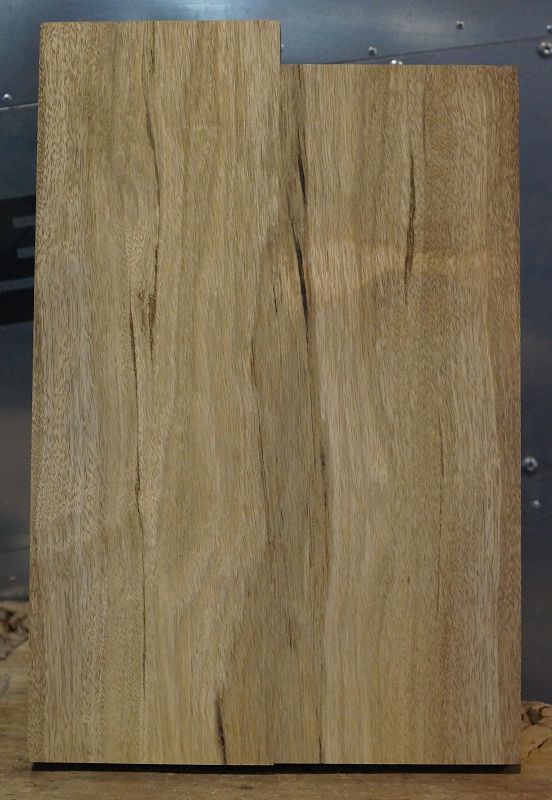 Bodyrohling Black Korina 201123-3