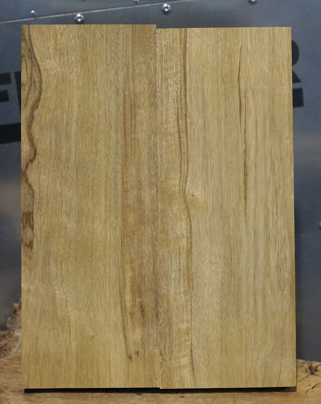 Bodyrohling Black Korina 201123-5