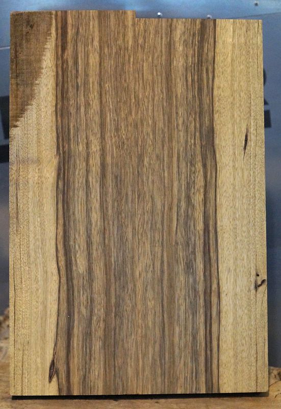 Bodyrohling Black Korina 201123-6