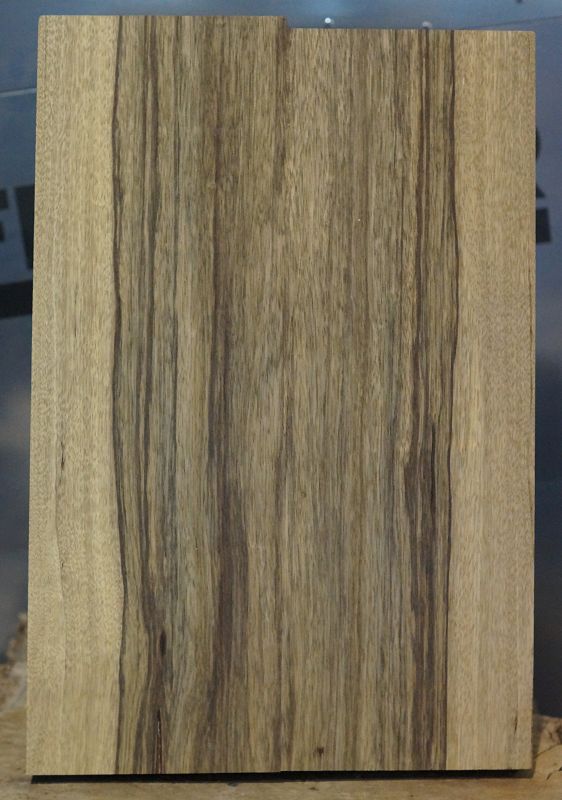 Bodyrohling Black Korina 201123-7