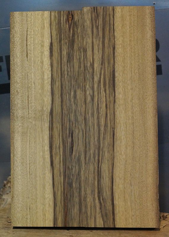 Bodyrohling Black Korina 201123-7