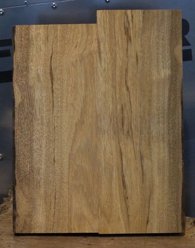 Bodyrohling Black Korina 201123-9
