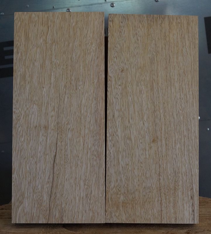 Bodyrohling Korina 070923-2 V