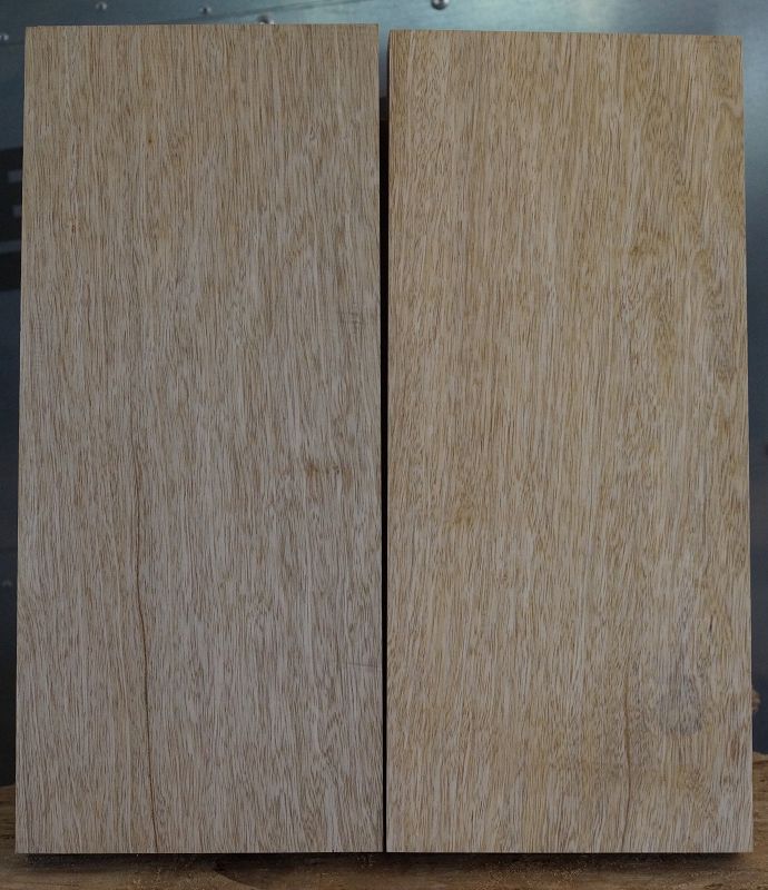 Bodyrohling Korina 070923-2 V