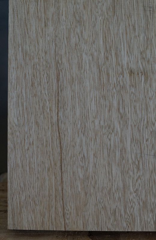 Bodyrohling Korina 070923-2 V