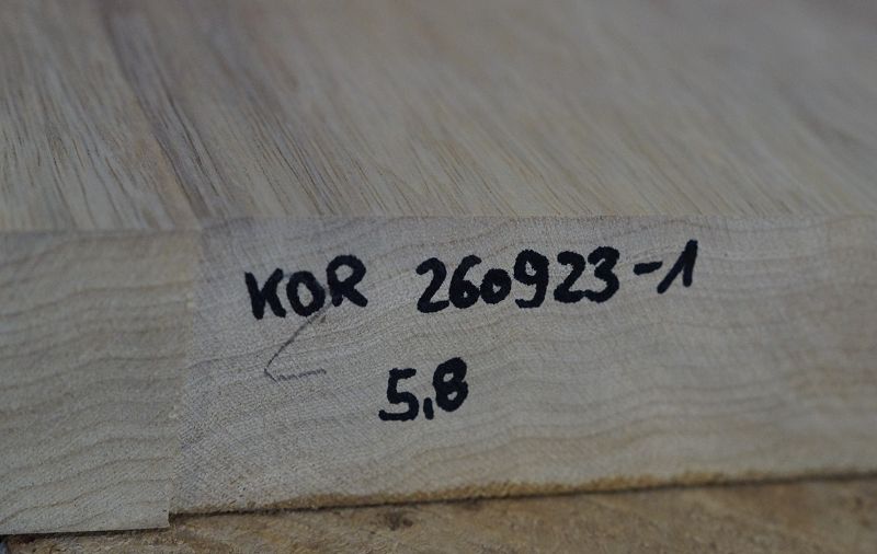 Bodyrohling Korina 260923-1