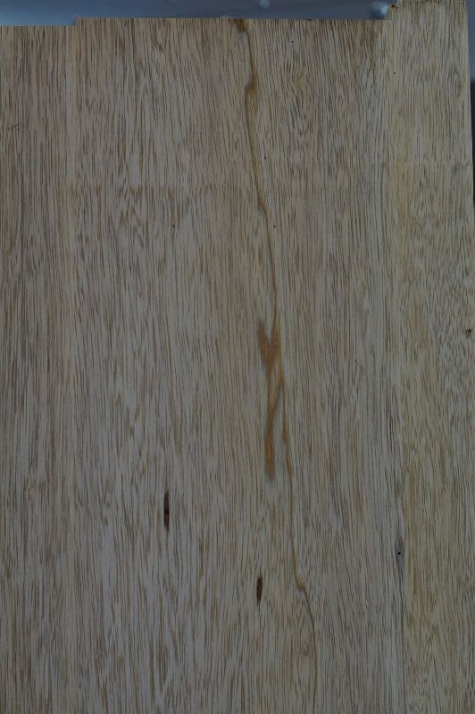 Bodyrohling Korina 260923-1