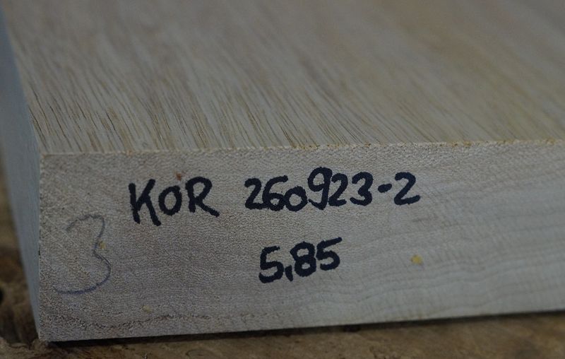 Bodyrohling Korina 260923-2