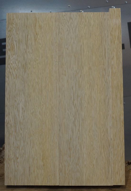 Bodyrohling Korina 260923-2