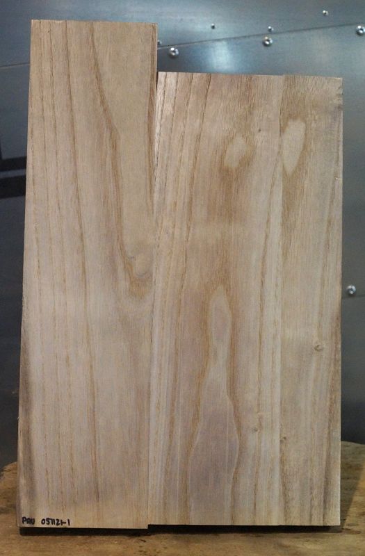 Bodyrohling Paulownia 051121-1