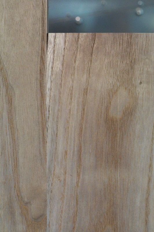 Bodyrohling Paulownia 051121-1