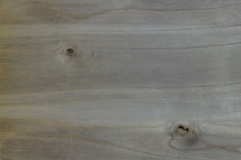 Bodyrohling Paulownia 051121-1