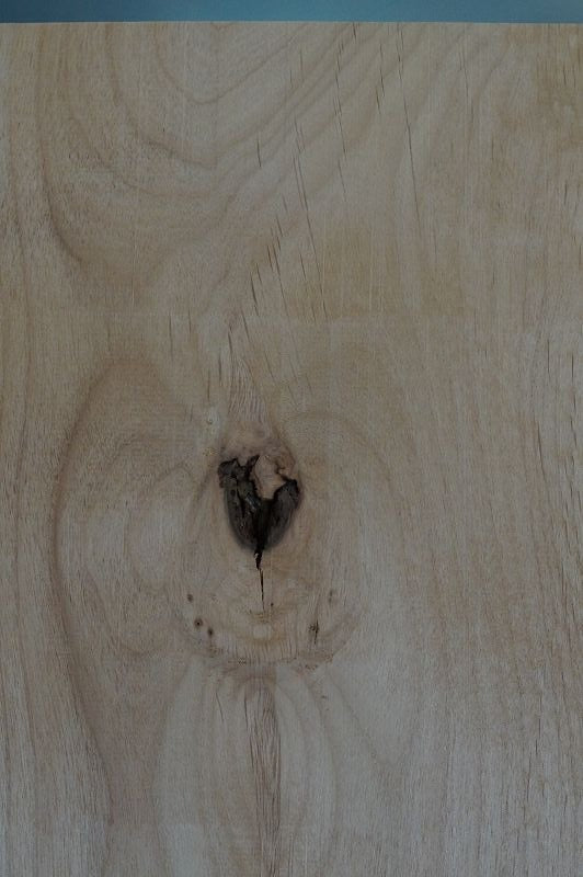 Bodyrohling Red Alder 070923