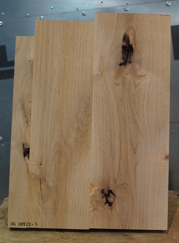 Bodyrohling Red Alder 110522-3