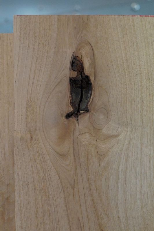 Bodyrohling Red Alder 110522-3