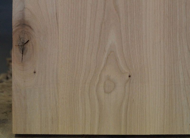 Bodyrohling Red Alder 150622-3