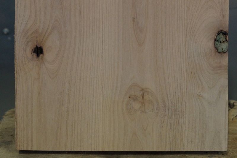 Bodyrohling Red Alder 150622-3