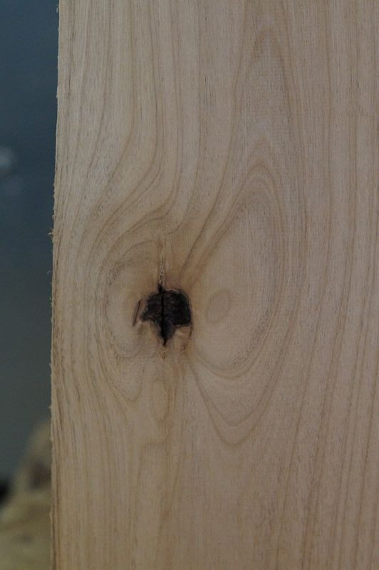 Bodyrohling Red Alder 150622-3