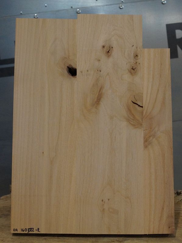 Bodyrohling Red Alder 160522-2
