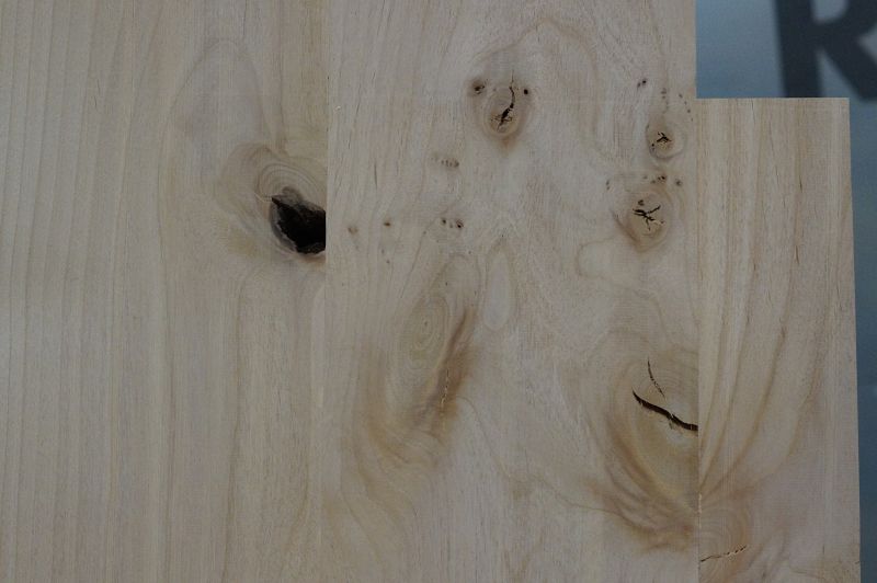 Bodyrohling Red Alder 160522-2