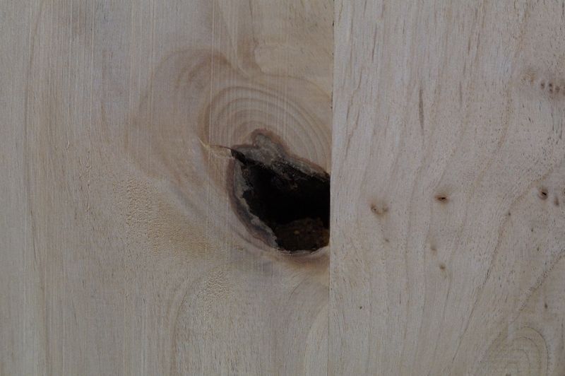 Bodyrohling Red Alder 160522-2
