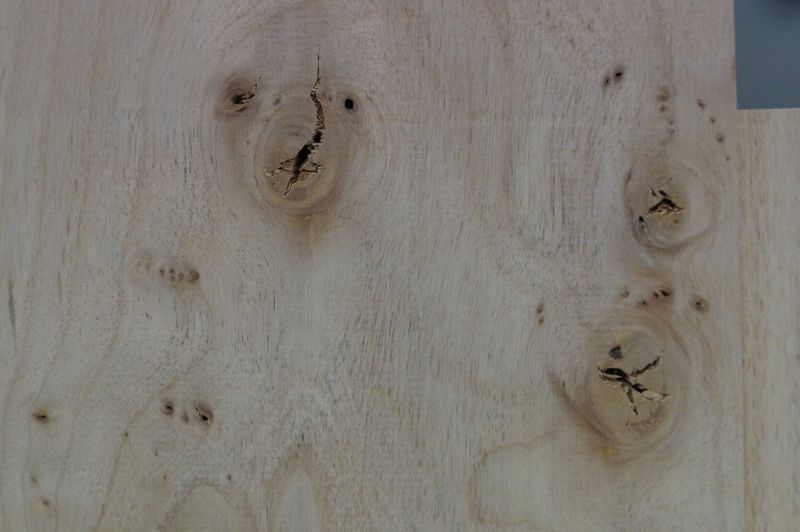 Bodyrohling Red Alder 160522-2