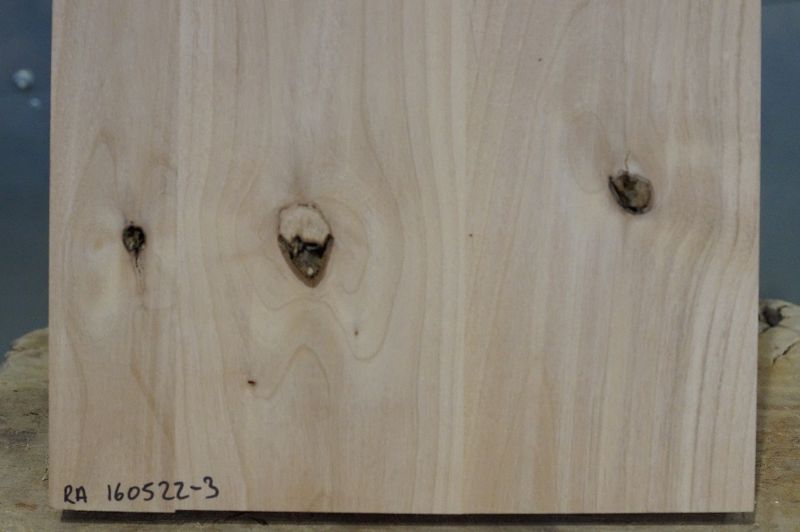 Bodyrohling Red Alder 160522-3