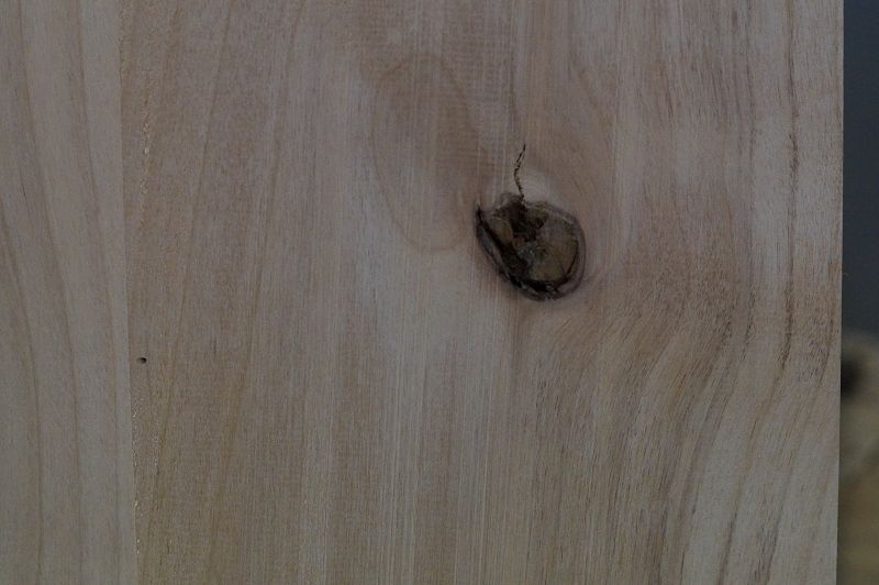 Bodyrohling Red Alder 160522-3