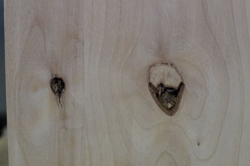 Bodyrohling Red Alder 160522-3