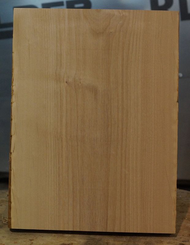Bodyrohling Red Alder 170723-2