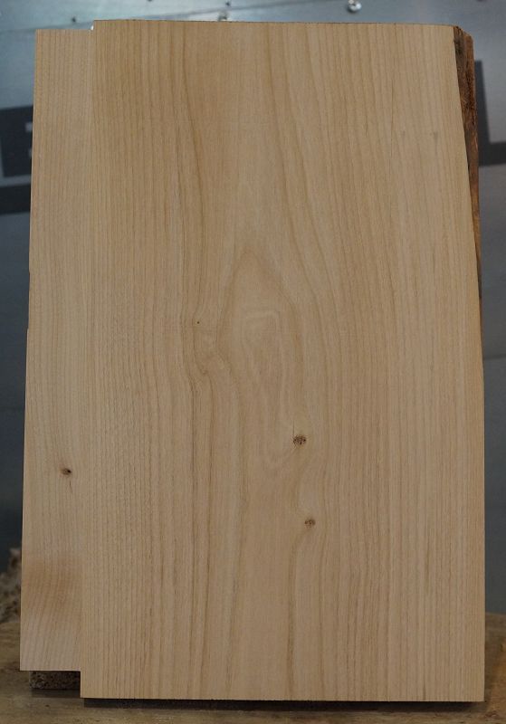 Bodyrohling Red Alder 260923-1