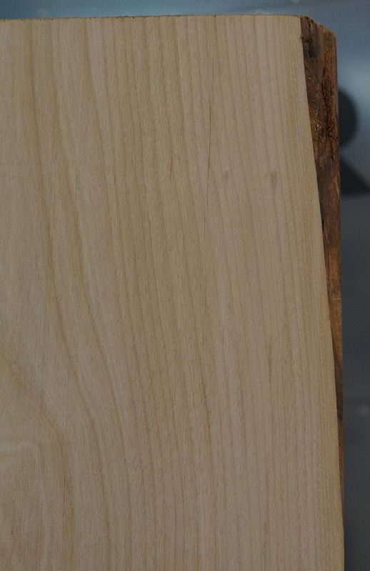 Bodyrohling Red Alder 260923-1