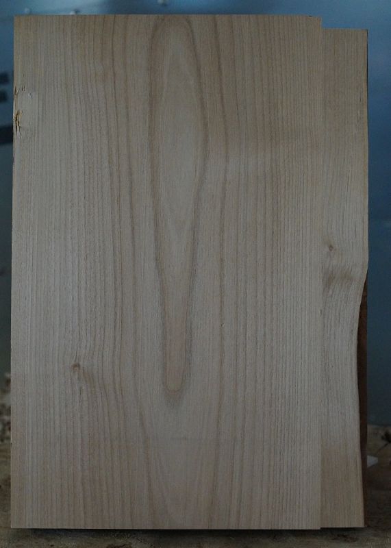 Bodyrohling Red Alder 260923-2
