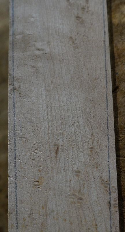 Griffbrett Birds Eye Maple Bass 2