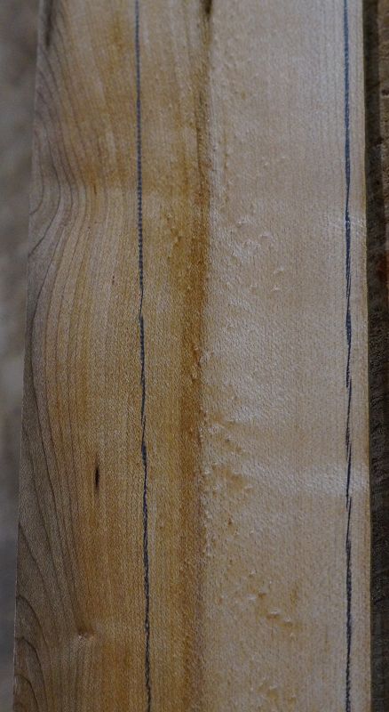 Griffbrett Birds Eye Maple Bass 2