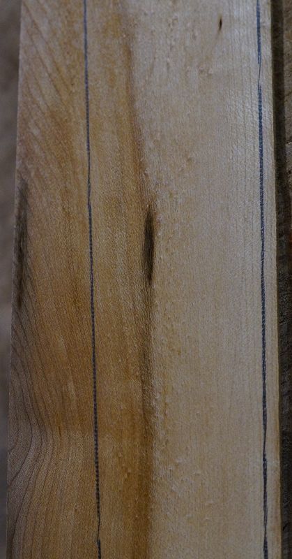 Griffbrett Birds Eye Maple Bass 2