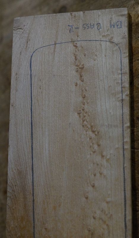 Griffbrett Birds Eye Maple Bass 2